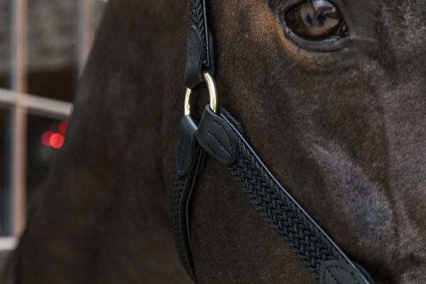 Kantar dla konia Kentucky Horsewear Plaited Nylon