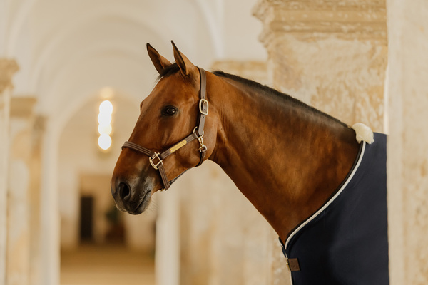 Derka osuszająca Kentucky Horsewear Show Vegan Wool