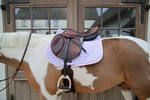 Czaprak  wszechstronny Kentucky Horsewear Softshell Onion Quilt