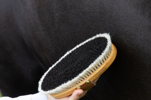 Szczotka do nabłyszczania sierści konia z naturalnego włosia końskiego Kentucky Horsewear Overall Brush Body Shine