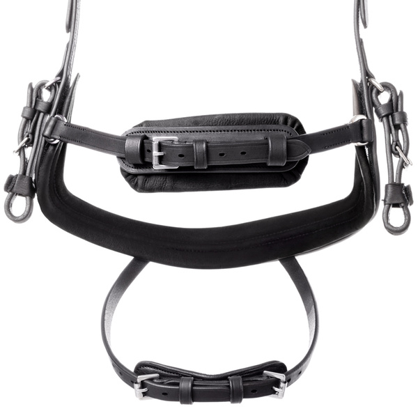 Ogłowie z nachrapnikiem kombinowanym Kavalkade Caliano