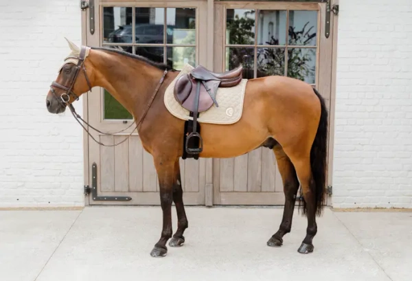 Czaprak wszechstronny Kentucky Horsewear Onion Quilt 3D Logo