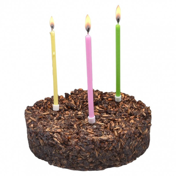 Tort dla konia Stud Muffins Celebration Cake