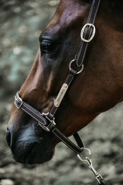 Kantar pielęgnacyjny ze skóry syntetycznej Kentucky Horsewear Leather Halter Flexible