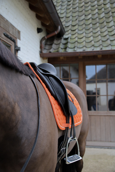 Czaprak ujeżdżeniowy Kentucky Horsewear Melange