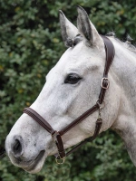 Kantar skórzany Equiline Safety 
