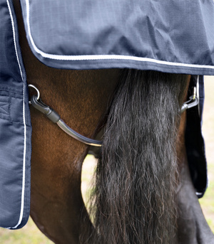  Pasek pod ogon do derki Waldhausen