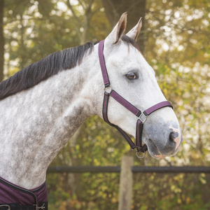 Kantar z uwiązem QHP Collection