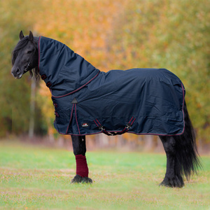 Derka padokowa Horsenjoy Aristo Combo 300g