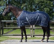 Derka stajenna QHP Start 150g