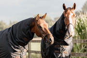 Kaptur do derki padokowej Kentucky Horsewear All Weather Waterproof Classic - 0g
