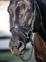 Nachrapnik szwedzki kombinowany z paskiem krzyżowym Equiline
