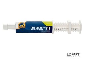 Szybkodziałająca pasta w przypadku objawów kolki Cavalor Emergency 911