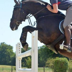 Popręg z fartuchem Kavalkade Standard