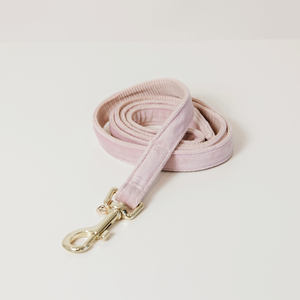 Smycz dla psa Kentucky Dogwear Velvet - 120 cm