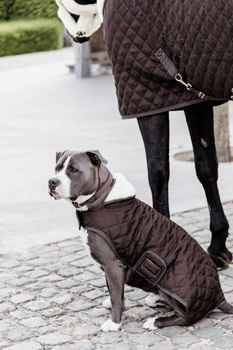 Derka dla psa Kentucky Dogwear Original