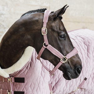 Kantar dla konia Kentucky Horsewear Velvet