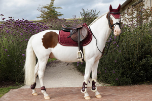 Czaprak wszechstronny Kentucky Horsewear Velvet