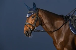 Ogłowie anatomiczne Dy'on D Collection DYABAB