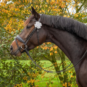 Numerek startowy QHP Clover