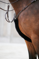 Futerko na napierśnik lub wodze Kentucky Horsewear