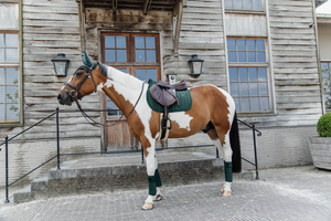 Czaprak wszechstronny Kentucky Horsewear Velvet Pearls