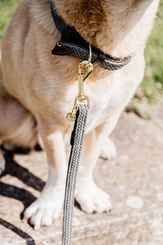 Smycz dla psa Kentucky Dogwear  Plaited Nylon - 120 cm