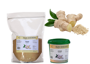 Imbir EQUIHERBS 