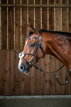 Ogłowie z nachrapnikiem meksykańskim Dy'on Working Collection WOAQHC