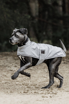 Derka dla psa Kentucky Dogwear Raincoat