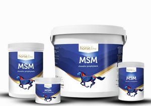 MSM HorseLine 