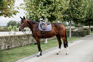Czaprak wszechstronny Kentucky Horsewear Velvet