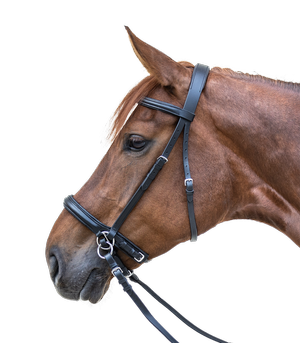 Ogłowie bezwędzidłowe Star Bitless