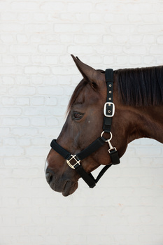 Kantar dla konia Kentucky Horsewear 3D Mesh