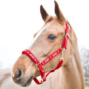 Kantar HORZE Hamptons