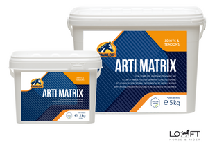 Suplement wspomagający układ ruchu Cavalor Arti Matrix