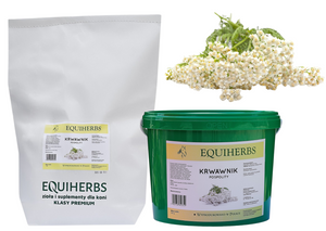 Krwawnik pospolity EQUIHERBS 