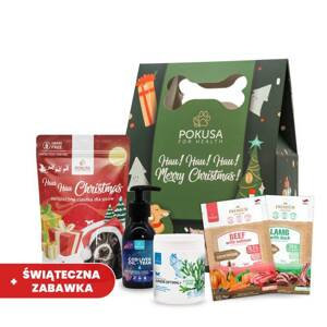 Zestaw świąteczny dla psa Pokusa JUNIOR