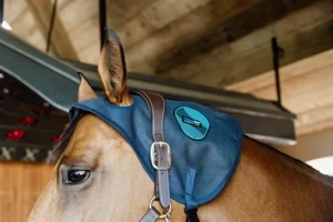 Nakładka magnetyczna na potylicę Kentucky Horsewear Recuptex