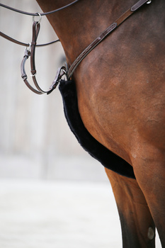 Futerko na napierśnik lub wodze Kentucky Horsewear