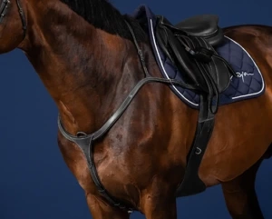 Napierśnik z mostkiem Dy'on US Collection US06C