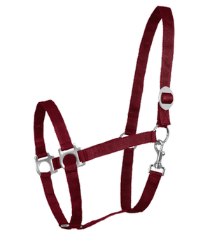 Kantar Waldhausen Perlon