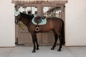 Czaprak skokowy Kentucky Horsewear Velvet