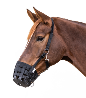 Kaganiec dla konia Waldhausen