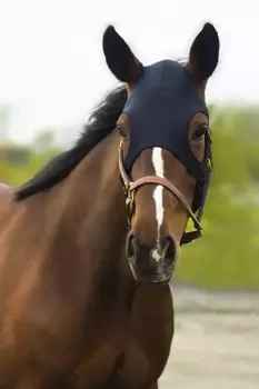 Maska uspokajająca Fenwick Liquid Titanium Mask Velcro