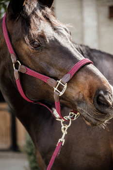 Kantar dla konia Kentucky Horsewear Plaited Nylon