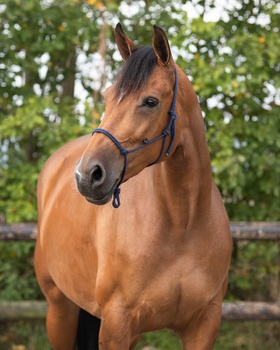 Kantar sznurkowy QHP Basic