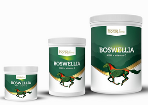 Boswellia Serrata HorseLine 