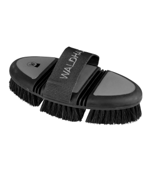 Szczotka z gąbką Waldhausen 