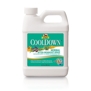 Wcierka chłodząco-łagodząca Absorbine® CoolDown